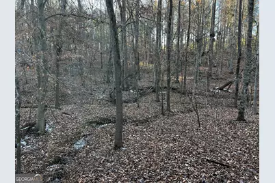 2285 Cherokee Road, Comer, GA 30629 - Photo 37