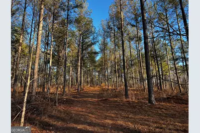 2285 Cherokee Road, Comer, GA 30629 - Photo 35