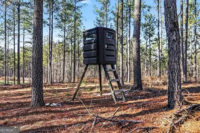 2285 Cherokee Road, Comer, GA 30629 - Photo 1