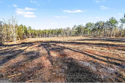 2285 Cherokee Road, Comer, GA 30629 - Photo 7