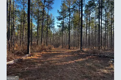 2285 Cherokee Road, Comer, GA 30629 - Photo 47