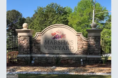 340 Noel Way, Hampton, GA 30228 - Photo 5