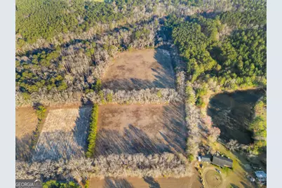 0 Maria Sorrell Road, Statesboro, GA 30461 - Photo 5