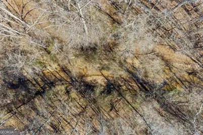 2456 Tex Smith Drive, Elberton, GA 30635 - Photo 61