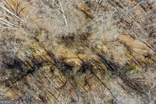 2456 Tex Smith Dr, Elberton, GA 30635 - Photo 61