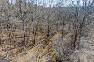 2456 Tex Smith Dr, Elberton, GA 30635 - Photo 63