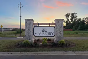 208 Aunt Bee Blvd, Statesboro, GA 30458 - Photo 39