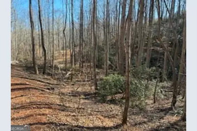 230 Harmony Valley Drive, Alto, GA 30510 - Photo 17