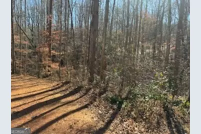 230 Harmony Valley Drive, Alto, GA 30510 - Photo 5