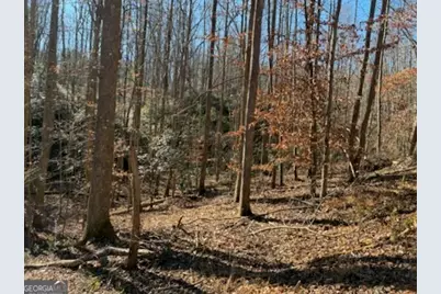 230 Harmony Valley Drive, Alto, GA 30510 - Photo 23