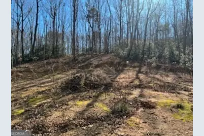 230 Harmony Valley Drive, Alto, GA 30510 - Photo 13