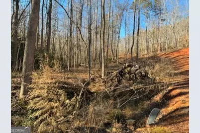 230 Harmony Valley Drive, Alto, GA 30510 - Photo 11