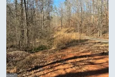 230 Harmony Valley Drive, Alto, GA 30510 - Photo 3