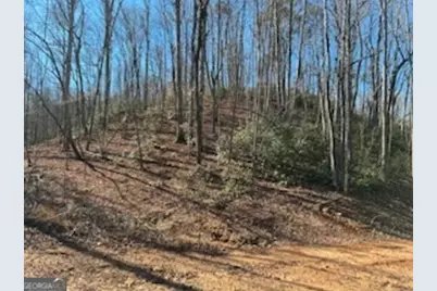 230 Harmony Valley Drive, Alto, GA 30510 - Photo 15