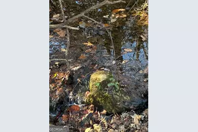 230 Harmony Valley Drive, Alto, GA 30510 - Photo 29