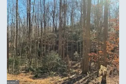 230 Harmony Valley Drive, Alto, GA 30510 - Photo 21