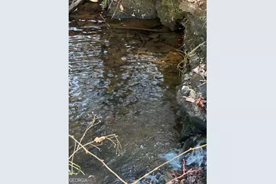 230 Harmony Valley Drive, Alto, GA 30510 - Photo 27