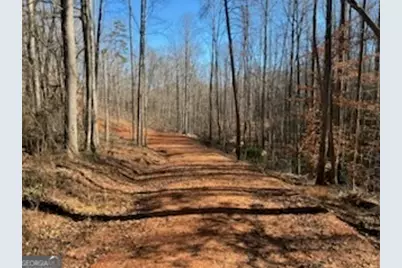 230 Harmony Valley Drive, Alto, GA 30510 - Photo 19