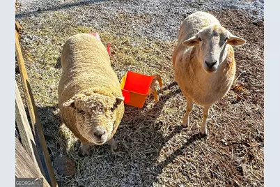 285 Dial Mill Road, Oxford, GA 30054 - Photo 77