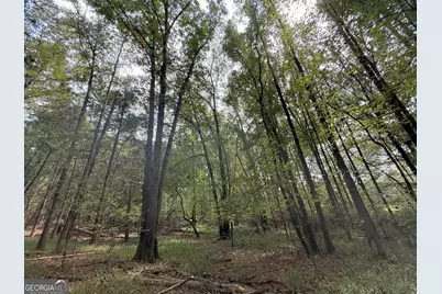 4 Jefferson River Road, Athens, GA 30607 - Photo 11