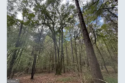 4 Jefferson River Road, Athens, GA 30607 - Photo 17