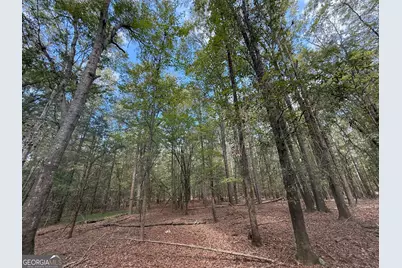 4 Jefferson River Road, Athens, GA 30607 - Photo 7