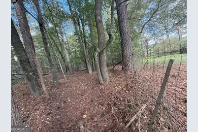 5 Jefferson River Road, Athens, GA 30607 - Photo 7