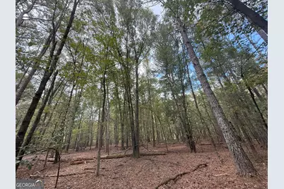 5 Jefferson River Road, Athens, GA 30607 - Photo 3