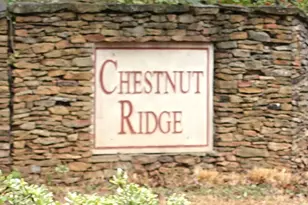 223 Lacey Ln, Winder, GA 30680 - Photo 49