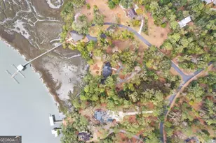 1045 River Club Road NE, Townsend, GA 31331 - Photo 75