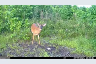 1 Lithonia Church Road, Norwood, GA 30821 - Photo 47