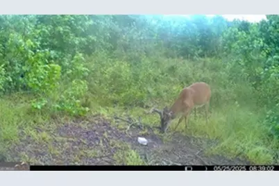 1 Lithonia Church Road, Norwood, GA 30821 - Photo 45