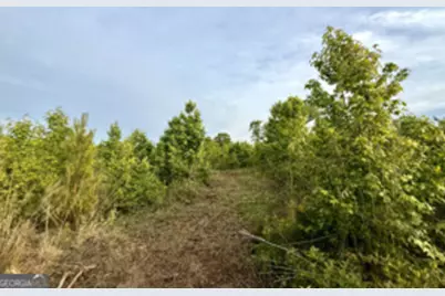 1 Lithonia Church Road, Norwood, GA 30821 - Photo 29