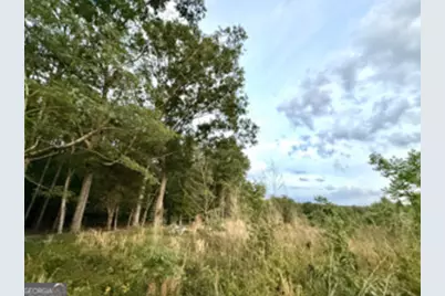 1 Lithonia Church Road, Norwood, GA 30821 - Photo 39