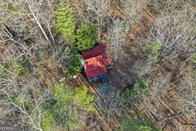 783 Bernhardt Road, Ellijay, GA 30536 - Photo 7
