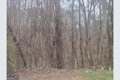 0 Nellie Brook Drive, Mableton, GA 30126 - Photo 1