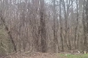 0 Nellie Brook Dr, Mableton, GA 30126 - Photo 1