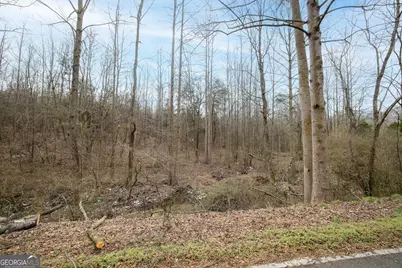 740 Broad River Church Rd Tract A, Eastanollee, GA 30538 - Photo 7