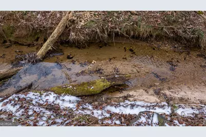 740 Broad River Church Rd Tract A, Eastanollee, GA 30538 - Photo 3