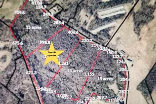 740 Broad River Church Rd Tract B, Eastanollee, GA 30538 - Photo 1