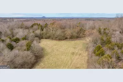 740 Broad River Church Rd Tract D, Eastanollee, GA 30538 - Photo 5
