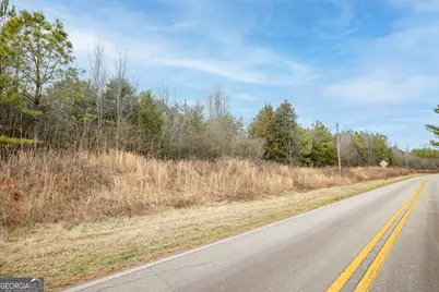 740 Broad River Church Rd Tract F, Eastanollee, GA 30538 - Photo 3