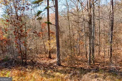 0 Kingston Highway, Kingston, GA 30145 - Photo 1