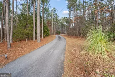 5862 Ga Highway 219, Franklin, GA 30217 - Photo 11