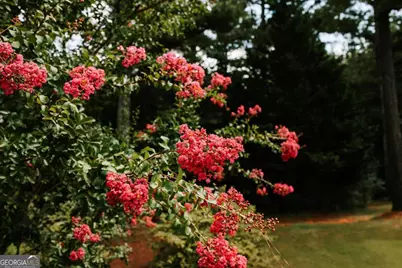 221 Creekside Drive, Arnoldsville, GA 30619 - Photo 37