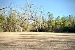 201 Burketts Ferry Rd, Hazlehurst, GA 31539 - Photo 3