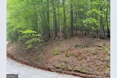 0 Pelican Drive, Ellijay, GA 30540 - Photo 1