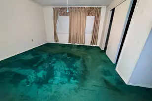 251 N McDonald St, Ludowici, GA 31316 - Photo 7