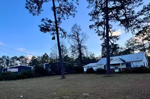 251 N McDonald St, Ludowici, GA 31316 - Photo 21