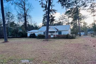 251 N McDonald St, Ludowici, GA 31316 - Photo 3